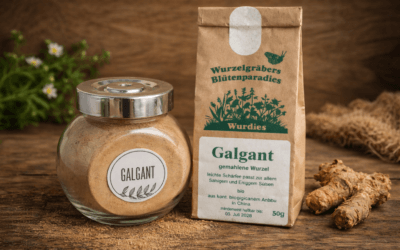 Galgant według św. Hildegardy – działanie, właściwości i zastosowanie