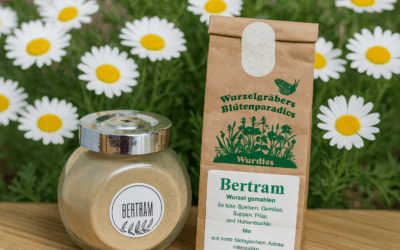 Bertram według św. Hildegardy – działanie, właściwości i zastosowanie