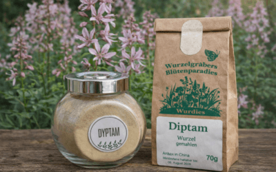 Dyptam według św. Hildegardy – działanie, właściwości i zastosowanie