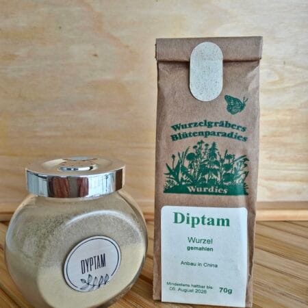 DYPTAM KORZEŃ MIELONY