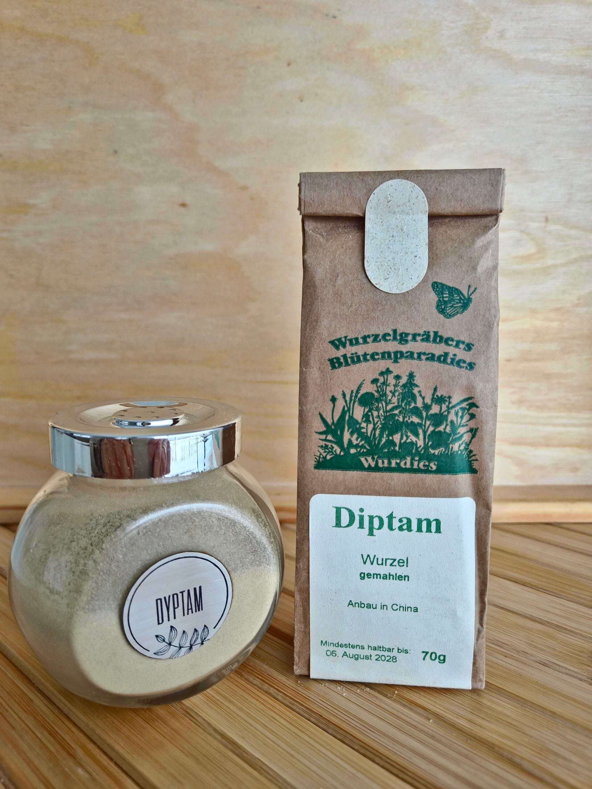 DYPTAM KORZEŃ MIELONY